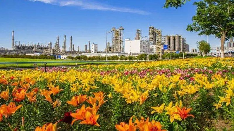 建筑助剂定制加工：如何选择专业生产厂家**